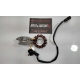 STATOR - DERBI 50 SENDA - X-TREME