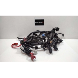 FAISCEAU - HONDA CB 750 HORNET