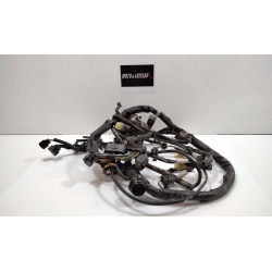 FAISCEAU - SUZUKI 650 BANDIT