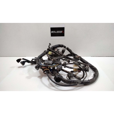 FAISCEAU - SUZUKI 650 BANDIT