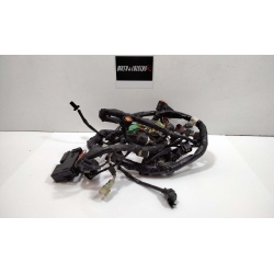 FAISCEAU - SUZUKI 650 SVS