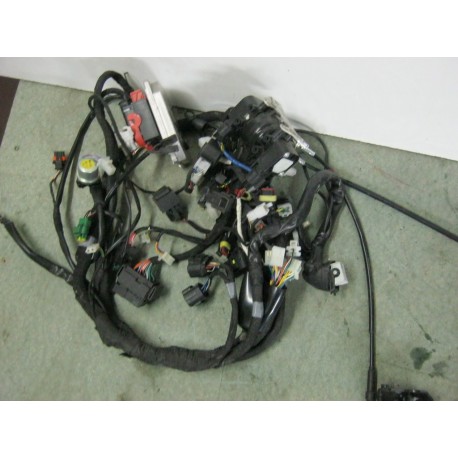 FAISCEAU ELECTRIQUE  APRILIA SHIVER 750 2007