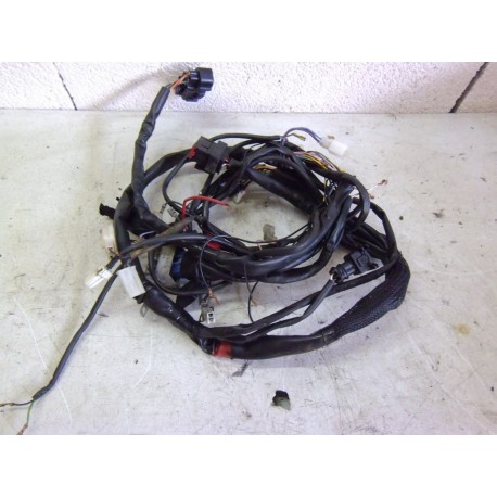 FAISCEAU ELECTRIQUE - YAMAHA DTR 50 2006