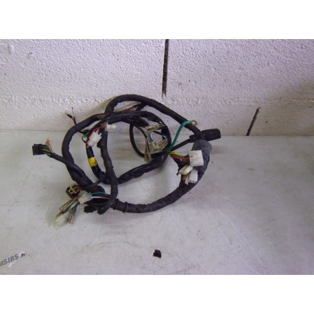 FAISCEAU ELECTRIQUE - DAELIM ROADWIN 125