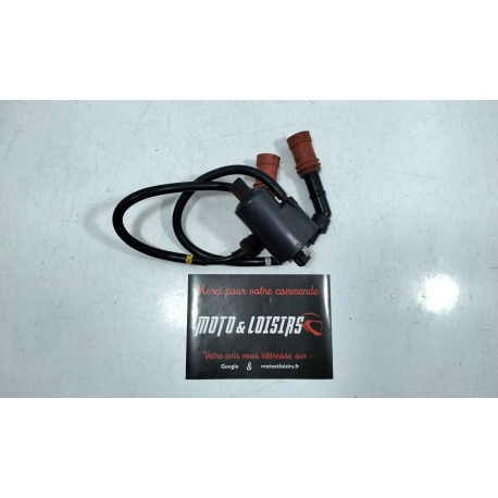 BOBINE - YAMAHA YZF 1000 R THUNDERACE