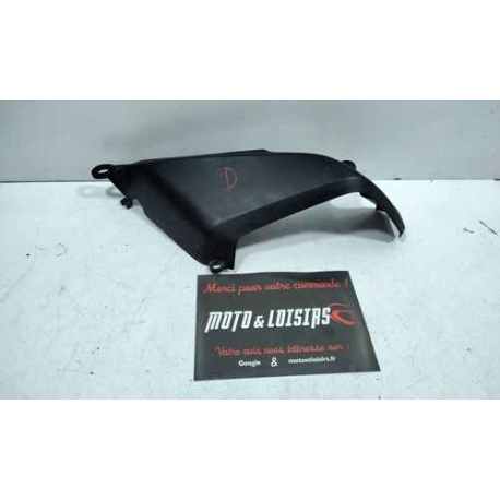 CACHE RADIATEUR DROIT - DUCATI MONSTER 796