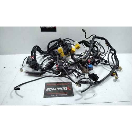 FAISCEAU ELECTRIQUE - GILERA GP 800