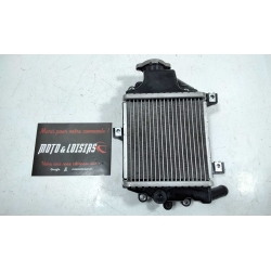 RADIATEUR EAU - DAELIM STEEZER 125