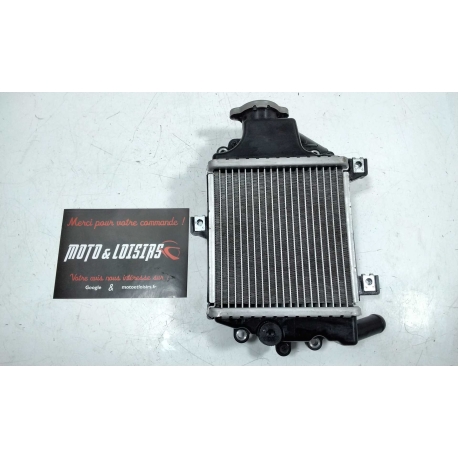 RADIATEUR EAU - DAELIM STEEZER 125