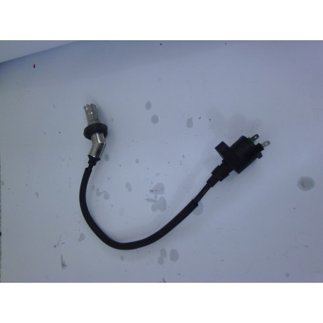 BOBINE HAUTE TENSION - VASTRO FURTIF 2014