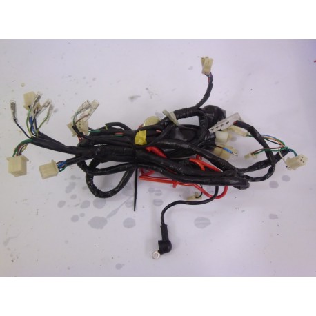 FAISCEAU ELECTRIQUE - VASTRO FURTIF 2014