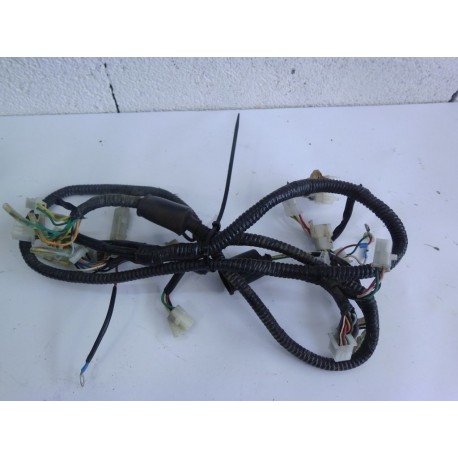 FAISCEAU ELECTRIQUE - REVATTO CITYONE 50