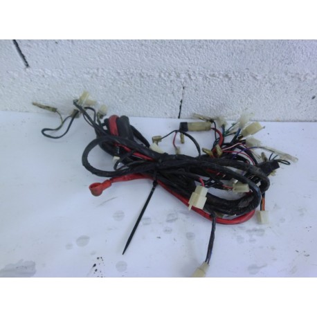 FAISCEAU ELECTRIQUE - RIDE RACE 50