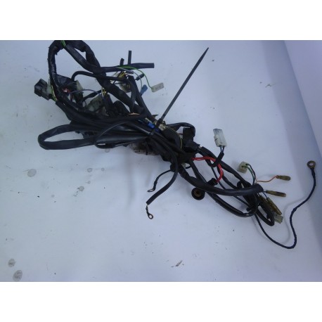 FAISCEAU ELECTRIQUE - RIEJU RS2 MATRIX