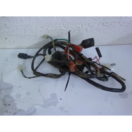 FAISCEAU ELECTRIQUE - BAOTIAN BT49QT-12