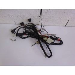 FAISCEAU ELECTRIQUE - PIAGGIO LIBERTY 50