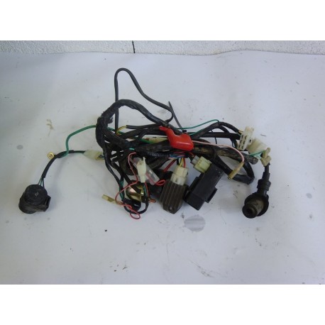 FAISCEAU ELECTRIQUE COMPLET - LINHAI STREETSTAR 50