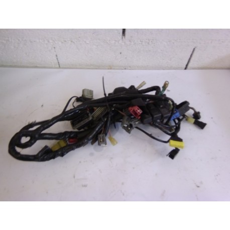 FAISCEAU ELECTRIQUE - HONDA 600 CBR 2003