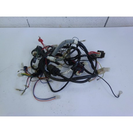 FAISCEAU ELECTRIQUE - PGO BIG MAX