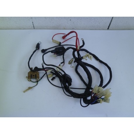 FAISCEAU ELECTRIQUE - KEEWAY RY6