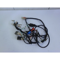 FAISCEAU ELECTRIQUE - SCOOTER CHINOIX