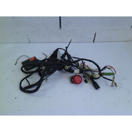 FAISCEAU ELECTRIQUE - KEEWAY FACT