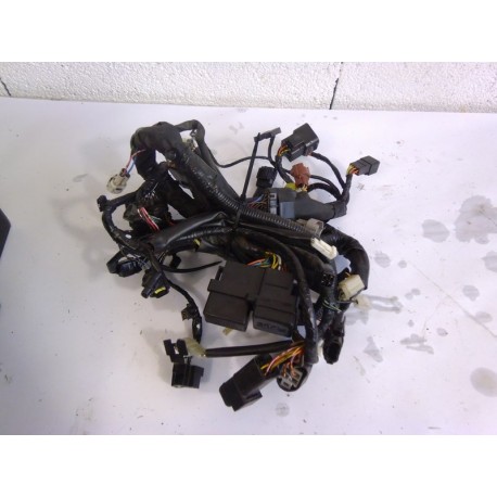FAISCEAU ELECTRIQUE - SUZUKI GLADIUS 650 2011