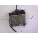 RADIATEUR - RIEJU RS3 NAKED