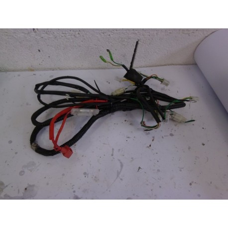 FAISCEAU ELECTRIQUE - SPEEDCOOL