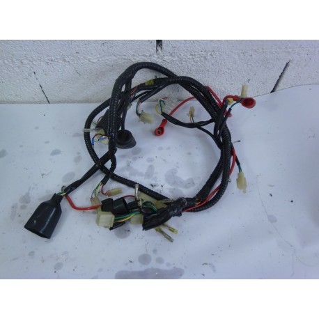 FAISCEAU ELECTRIQUE - VASTRO TYREX 50