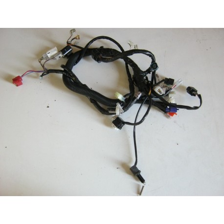 FAISCEAU ELECTRIQUE YAMAHA YBR 125 2007
