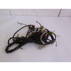 FAISCEAU ELECTRIQUE - RIEJU MRT 50