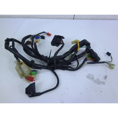 FAISCEAU ELECTRIQUE - HONDA HORNET 600