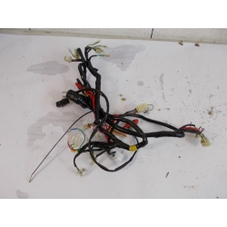 FAISCEAU ELECTRIQUE - CKA MOTOR EUROCKA ZN R 50