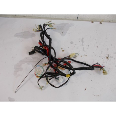 FAISCEAU ELECTRIQUE - CKA MOTOR EUROCKA ZN R 50