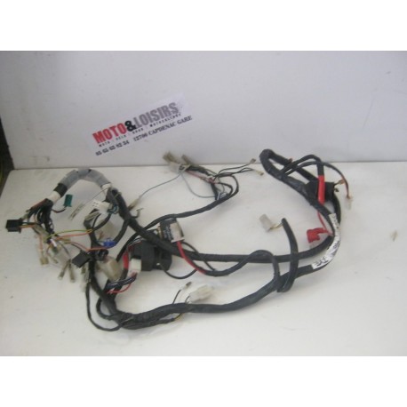 FAISCEAU ELECTRIQUE - PGO BIG MAX NAKED 2010