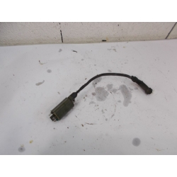 BOBINE - HONDA PANTHEON