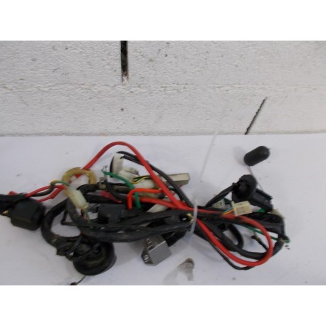 FAISCEAU - SYM ORBIT