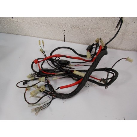 FAISCEAU - RIDE RACE GT