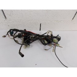 FAISCEAU- PEUGEOT LUDIX