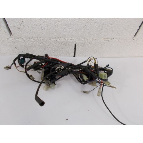 FAISCEAU- PEUGEOT LUDIX