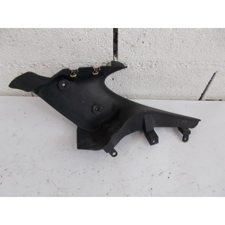 CARENAGE - BMW R1150 R