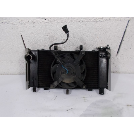 RADAITEUR- YAMAHA FZ6