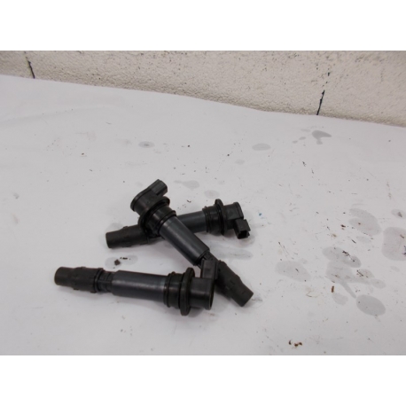 ANTI P - TRIUMPH TIGER 1050