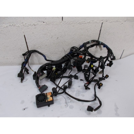 FAISCEAU ELECTRIQUE - TRIUMPH TIGER 1050