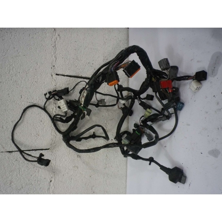 FAISCEAU - KAWASAKI ER6