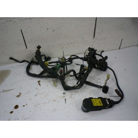 FAISCEAU ALARME - SUZUKI SVS SV 650