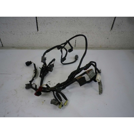 FAISCEAU - HONDA HORNET 2009