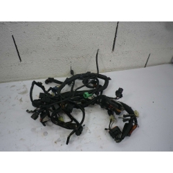 FAISCEAU - SUZUKI 650 BANDIT