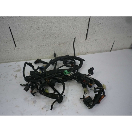 FAISCEAU - SUZUKI 650 BANDIT